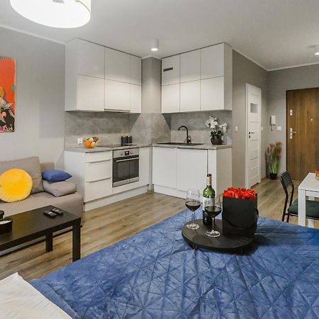 Lumina Comfy Apartment Lodz ภายนอก รูปภาพ